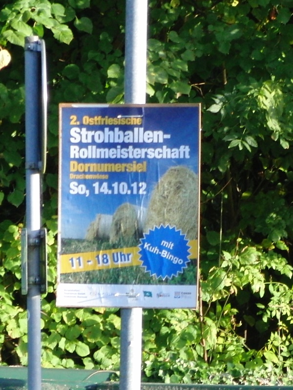 olympia.jpg