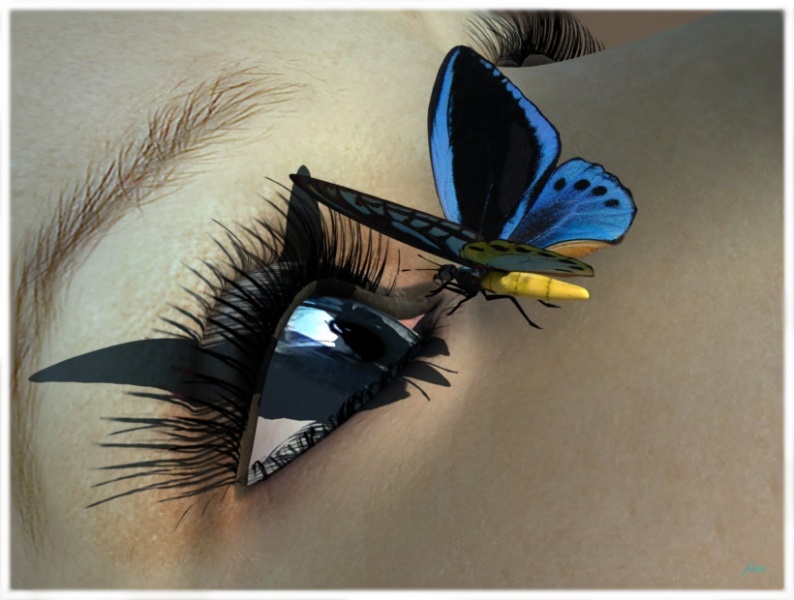 [Bild: auge.jpg]